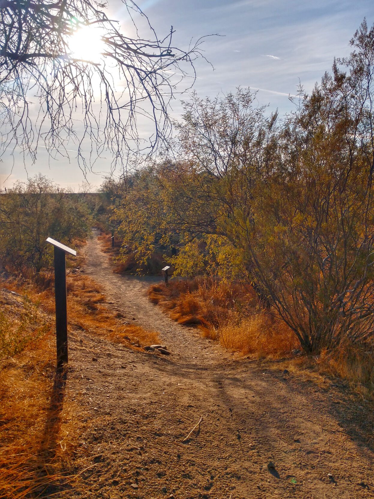 Dreamy Draw Nature Trail